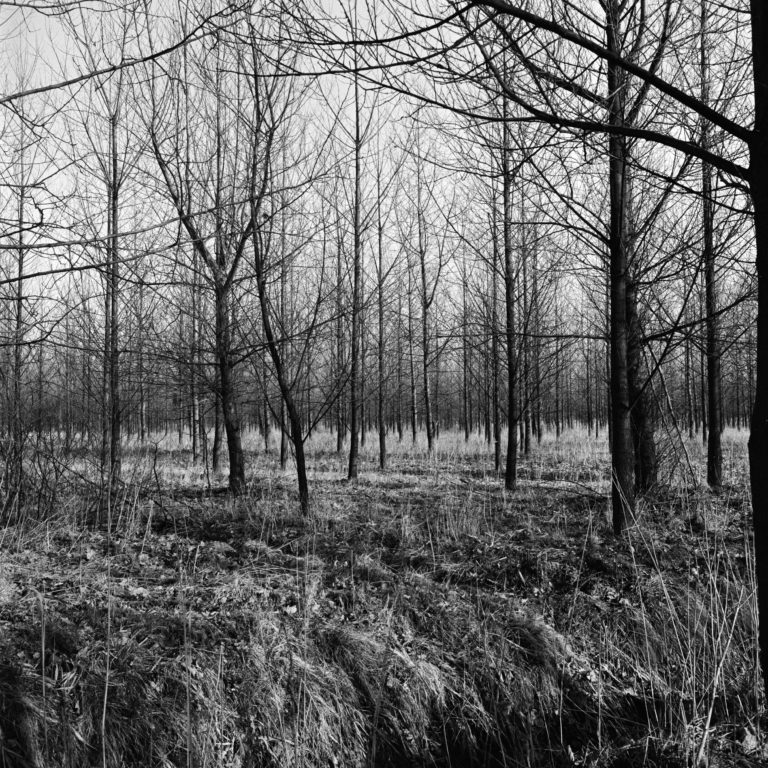 #57F East (Past) – Weert