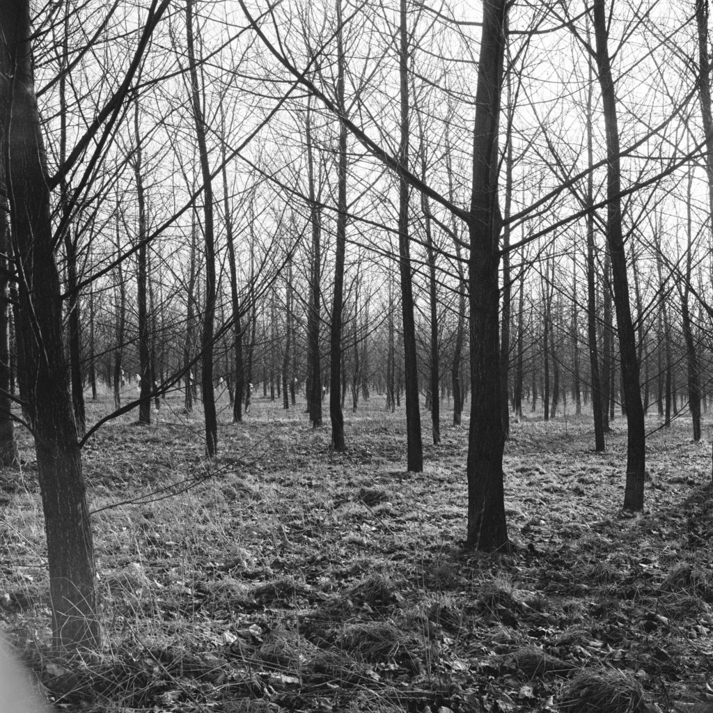 #57F South (Past) – Weert