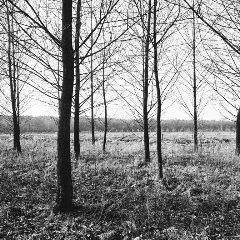 #57F West (Past) – Weert