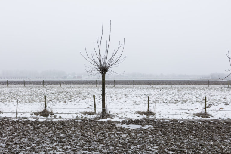 #45A West (Current) – Hedel