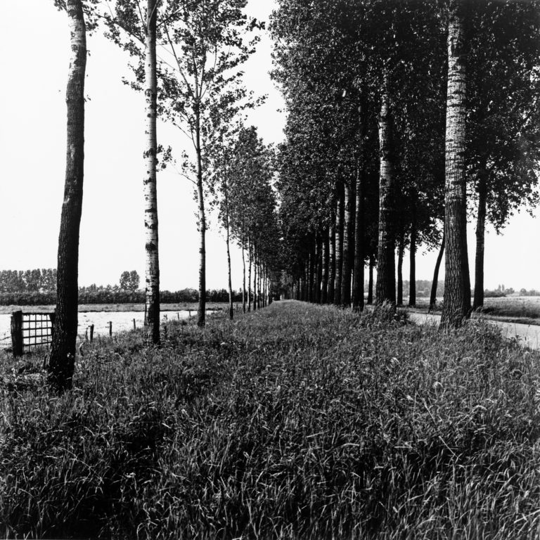 #39G North (Past) – Leeuwen