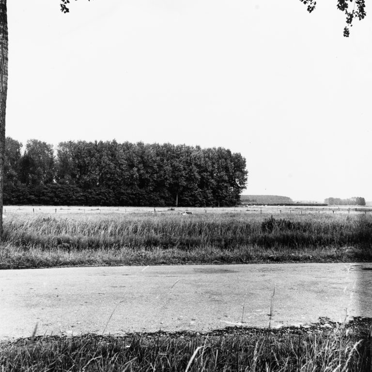 #39G East (Past) – Leeuwen