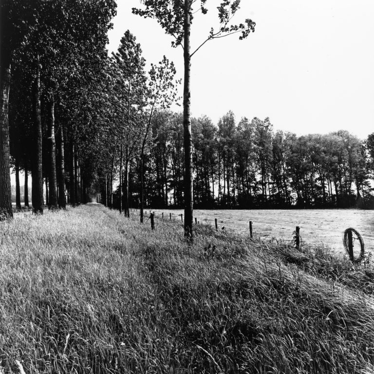 #39G South (Past) – Leeuwen