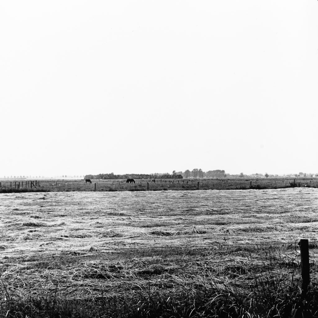 #39G West (Past) – Leeuwen