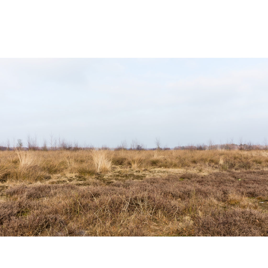 #17D North (Current) – Nieuw Balinge