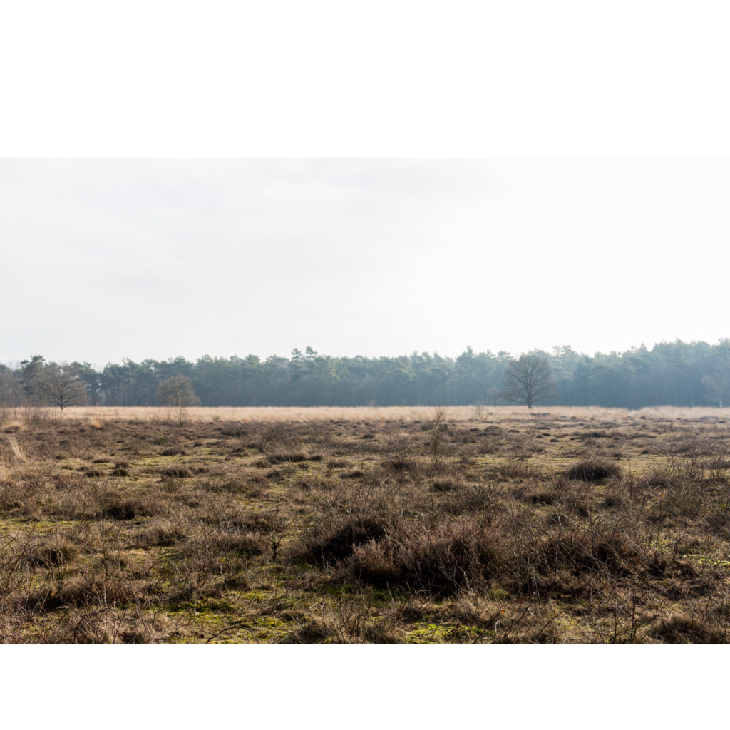 #17D South (Current) – Nieuw Balinge