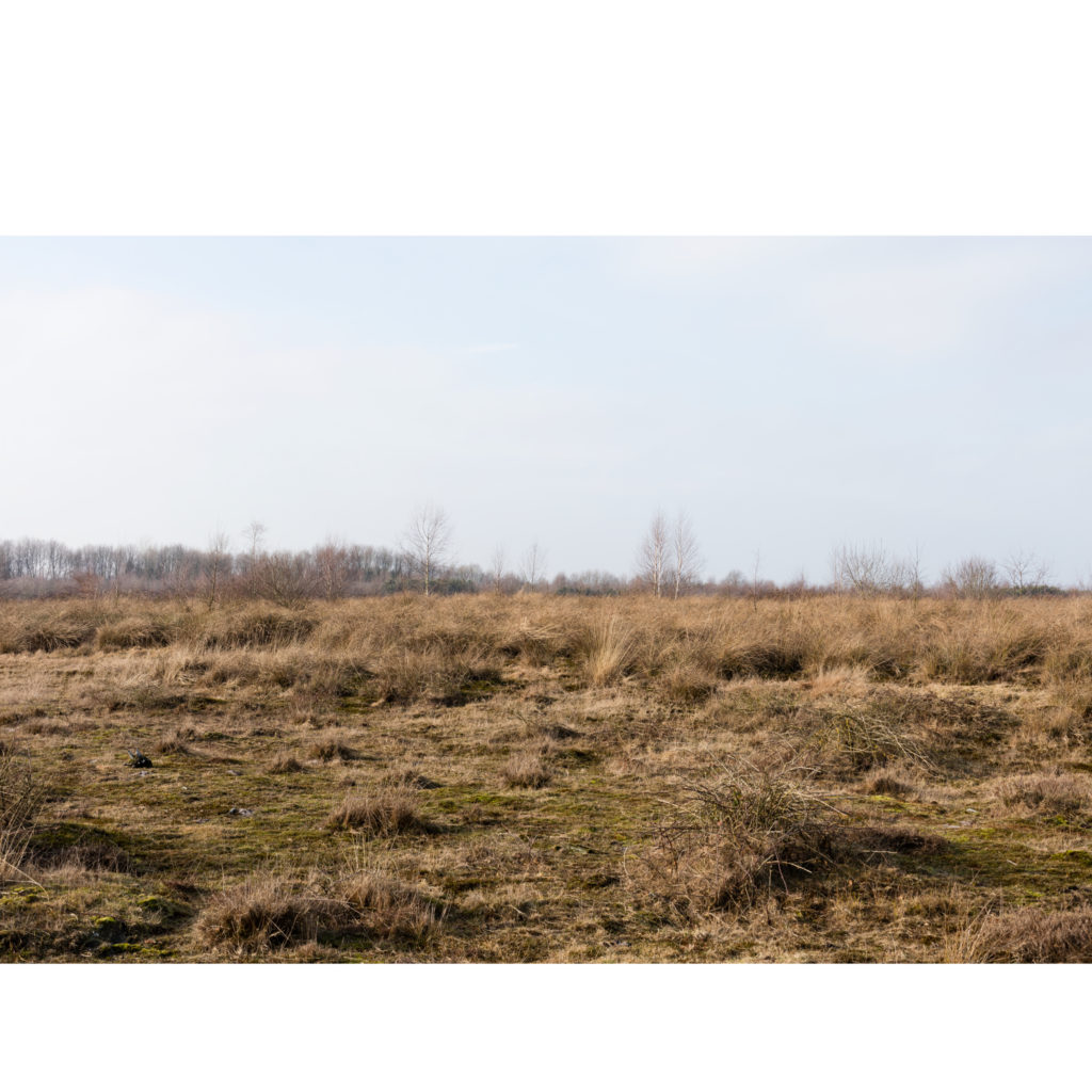 #17D West (Current) – Nieuw Balinge