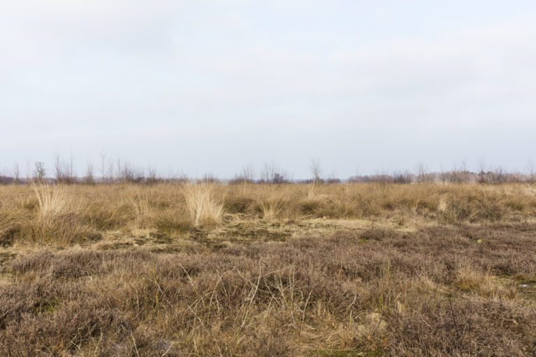 #17D North (Current) – Nieuw Balinge