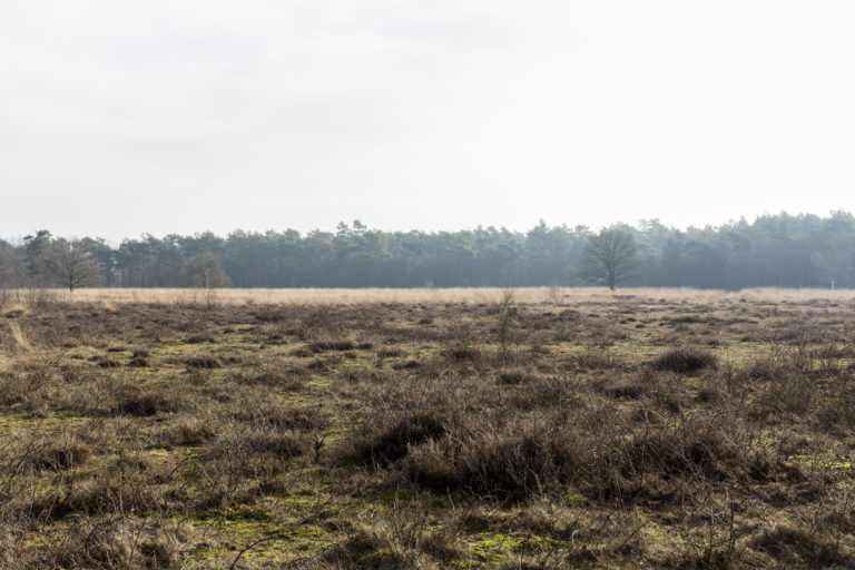 #17D South (Current) – Nieuw Balinge