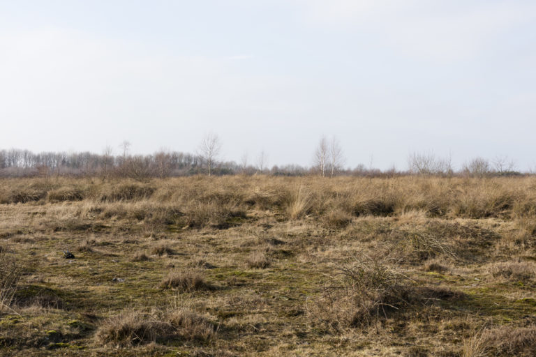 #17D West (Current) – Nieuw Balinge