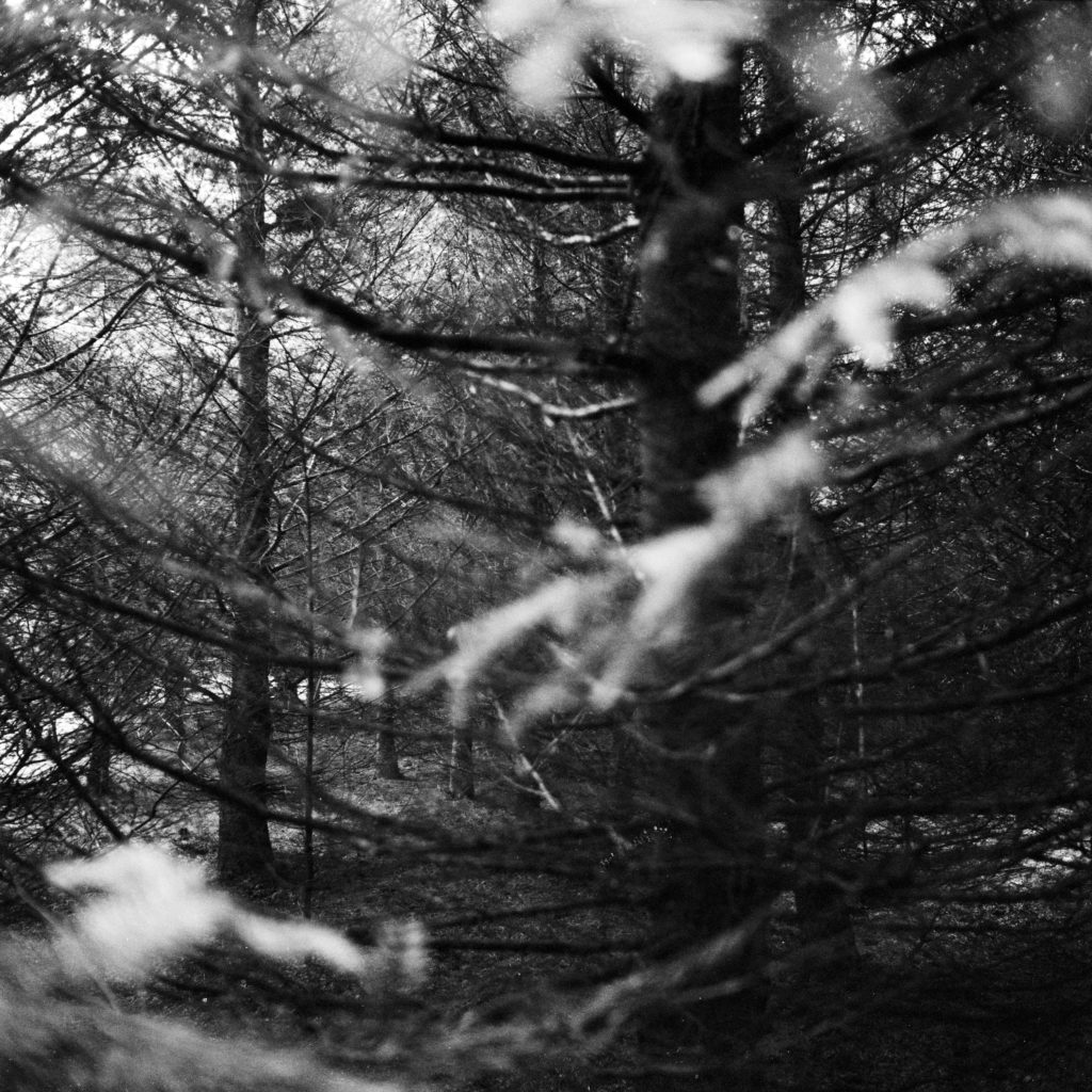 #17D North (Past) – Nieuw Balinge