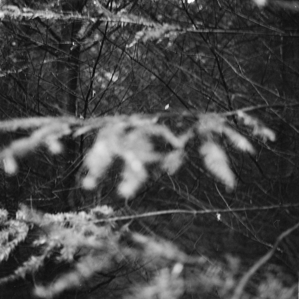 #17D South (Past) – Nieuw Balinge