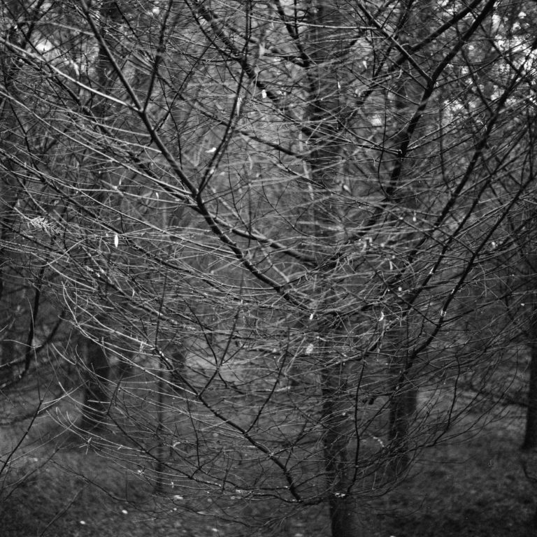 #17D West (Past) – Nieuw Balinge