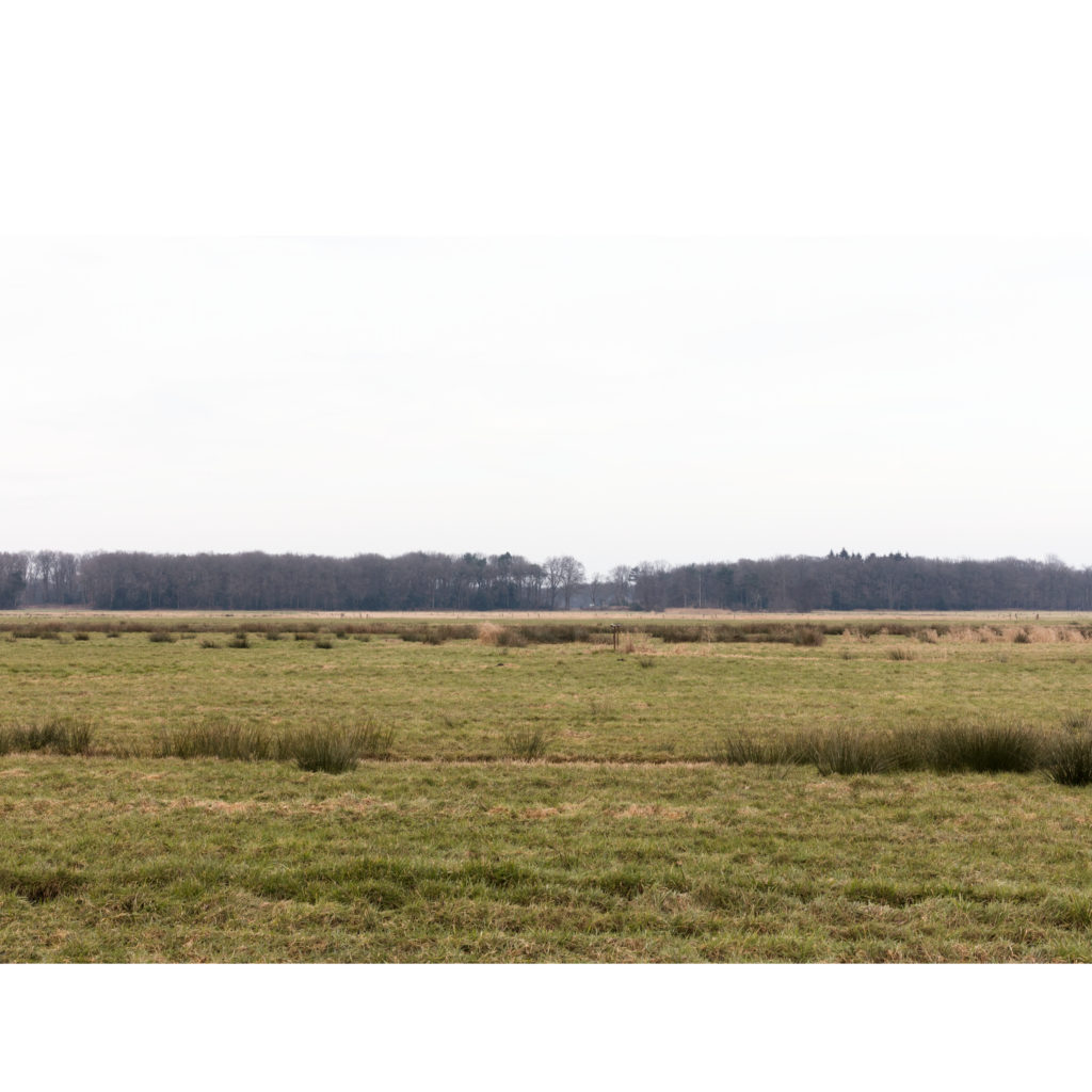 #21F North (Current) – De Wijk