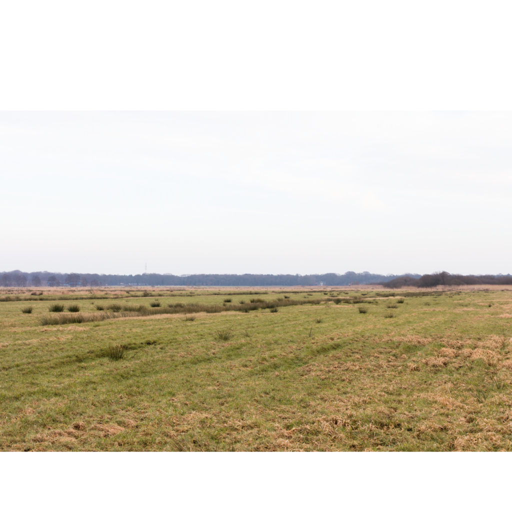 #21F East (Current) – De Wijk