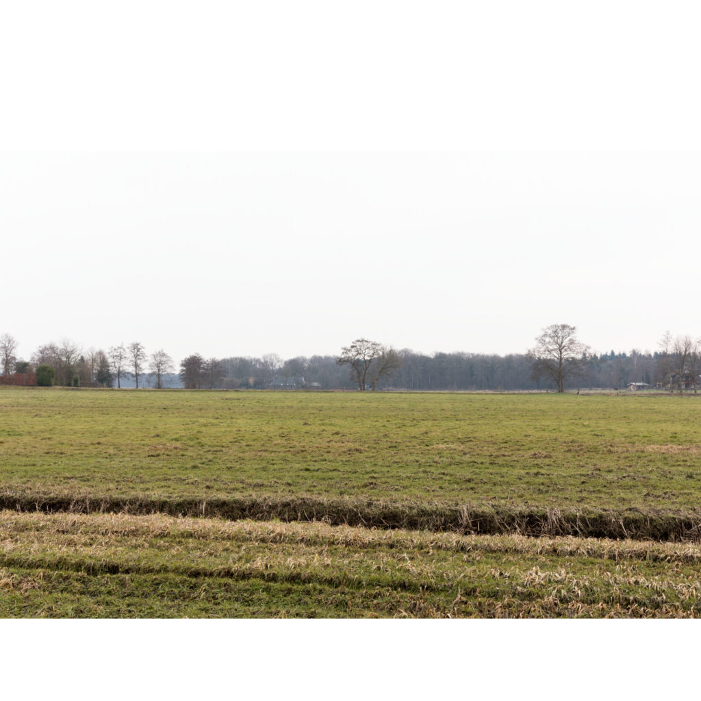 #21F South (Current) – De Wijk