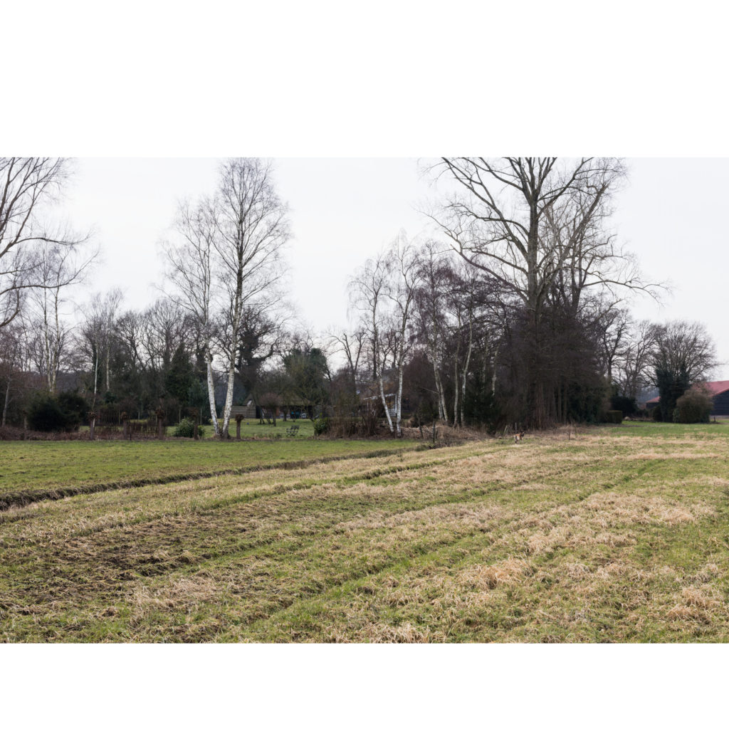 #21F West (Current) – De Wijk