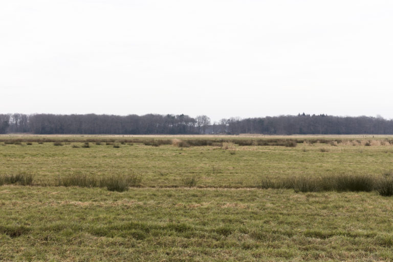 #21F North (Current) – De Wijk