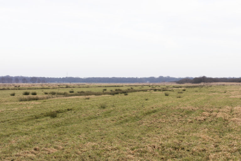 #21F East (Current) – De Wijk