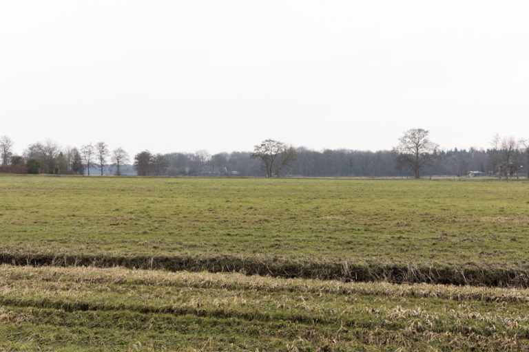 #21F South (Current) – De Wijk