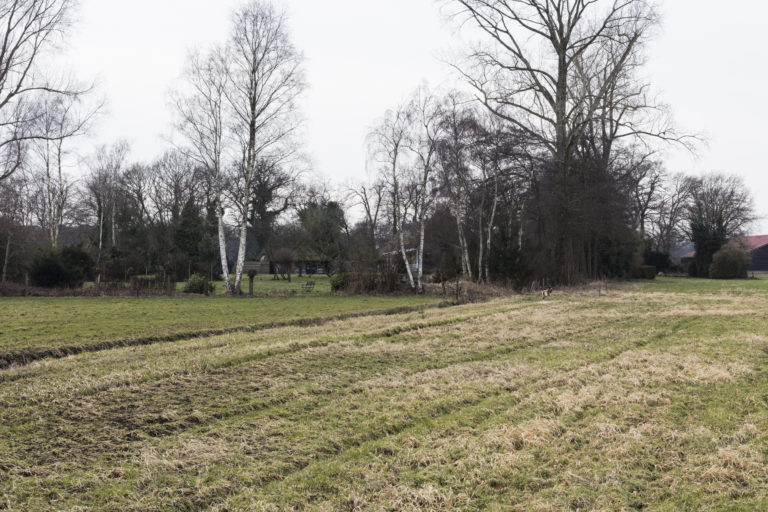 #21F West (Current) – De Wijk