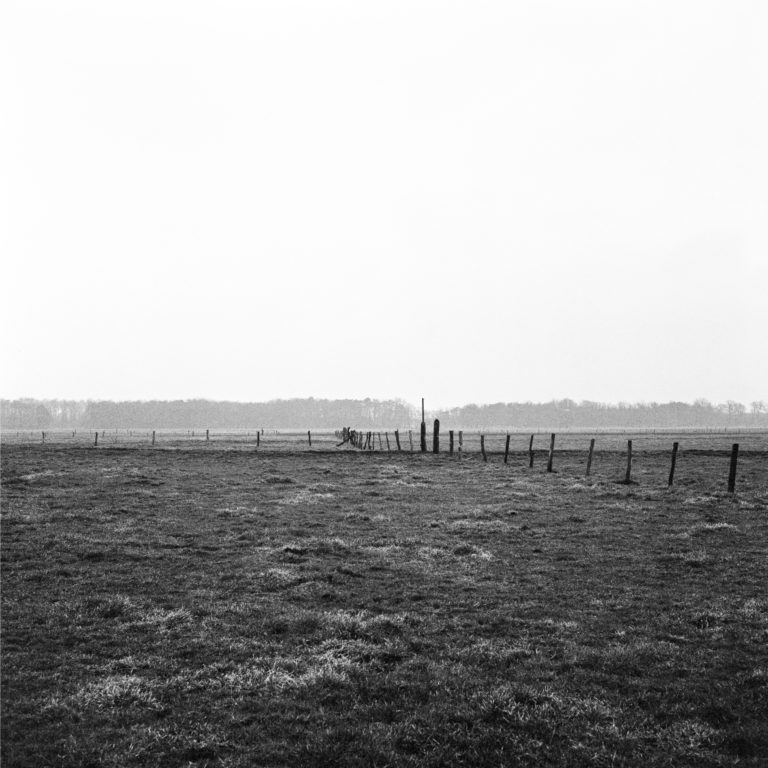 #21F North (Past) – De Wijk