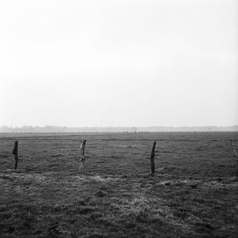 #21F East (Past) – De Wijk