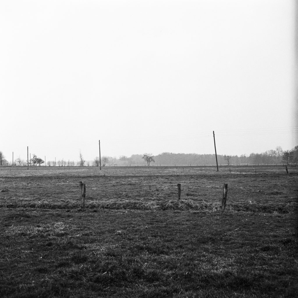 #21F South (Past) – De Wijk