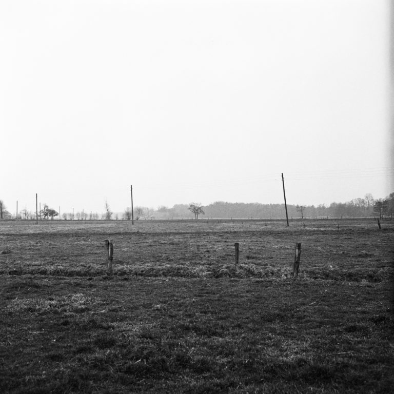 #21F South (Past) – De Wijk