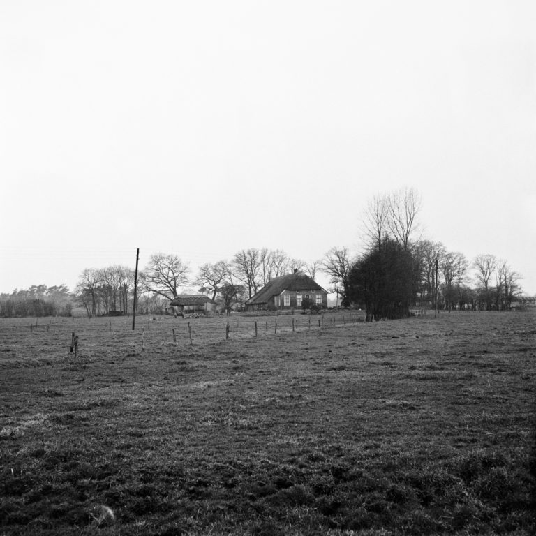 #21F West (Past) – De Wijk