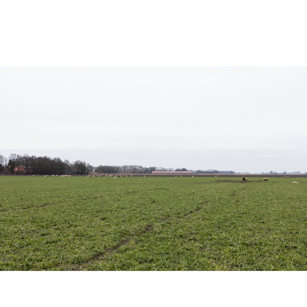 #15H South (Current) – Emmeloord