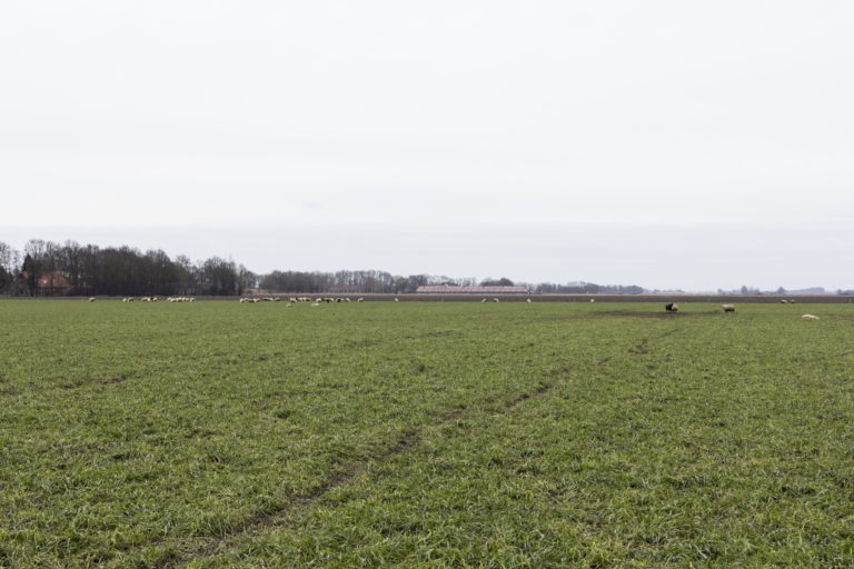 #15H South (Current) – Emmeloord