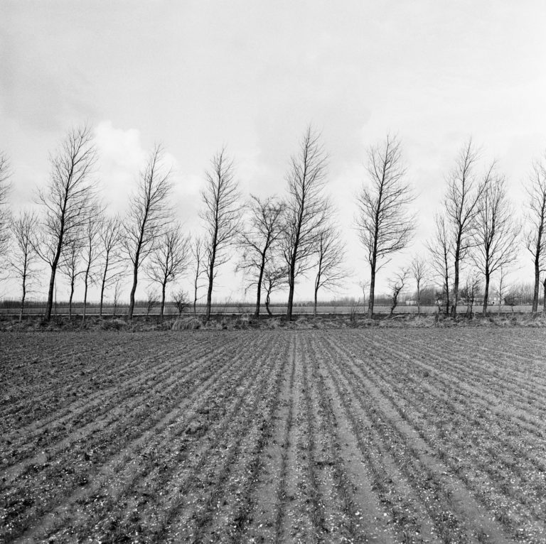 #15H North (Past) – Emmeloord