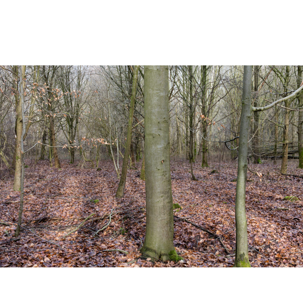 #21C North (Current) – Kampen