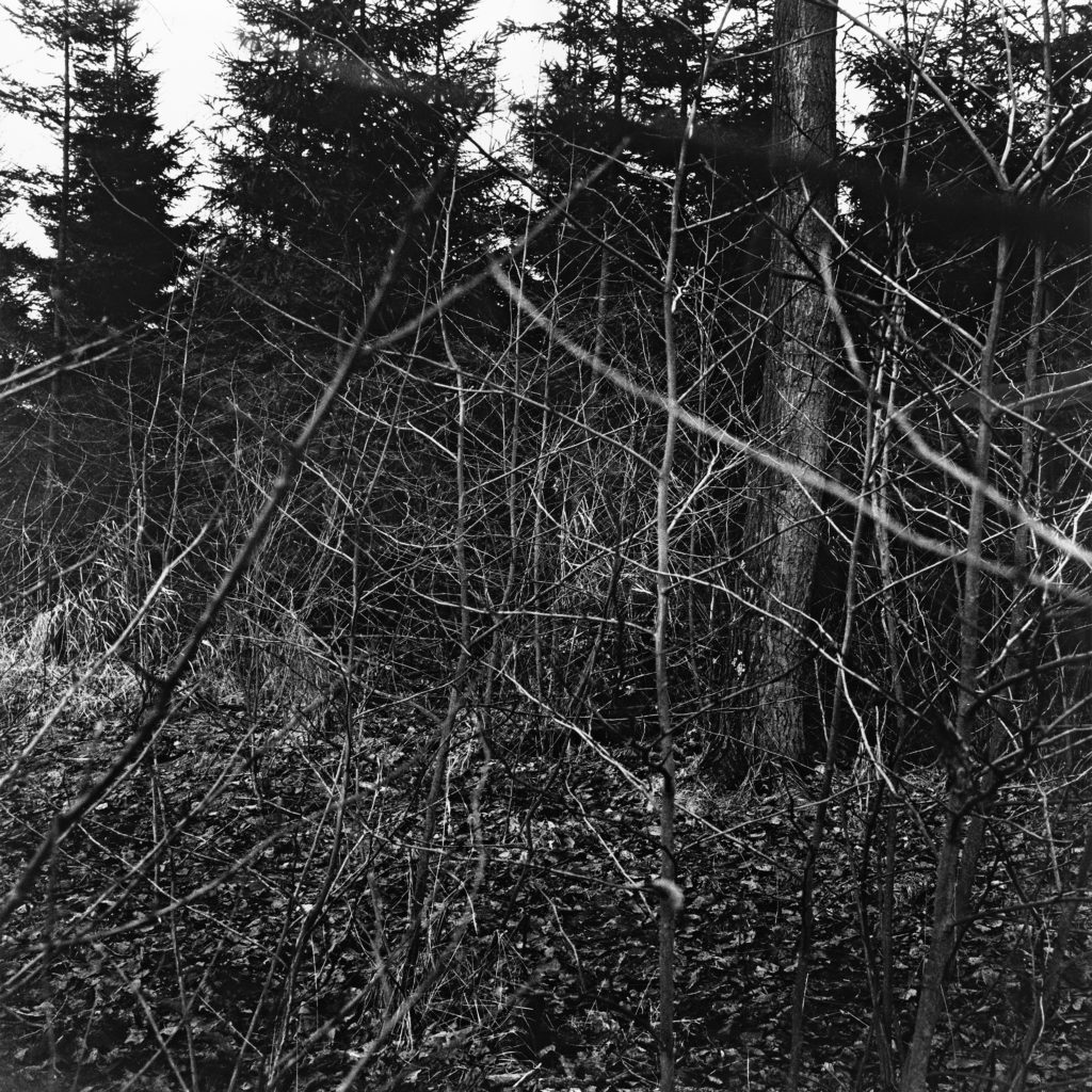 #21C North (Past) – Kampen