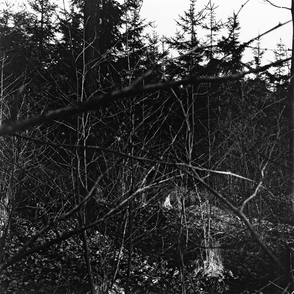 #21C East (Past) – Kampen