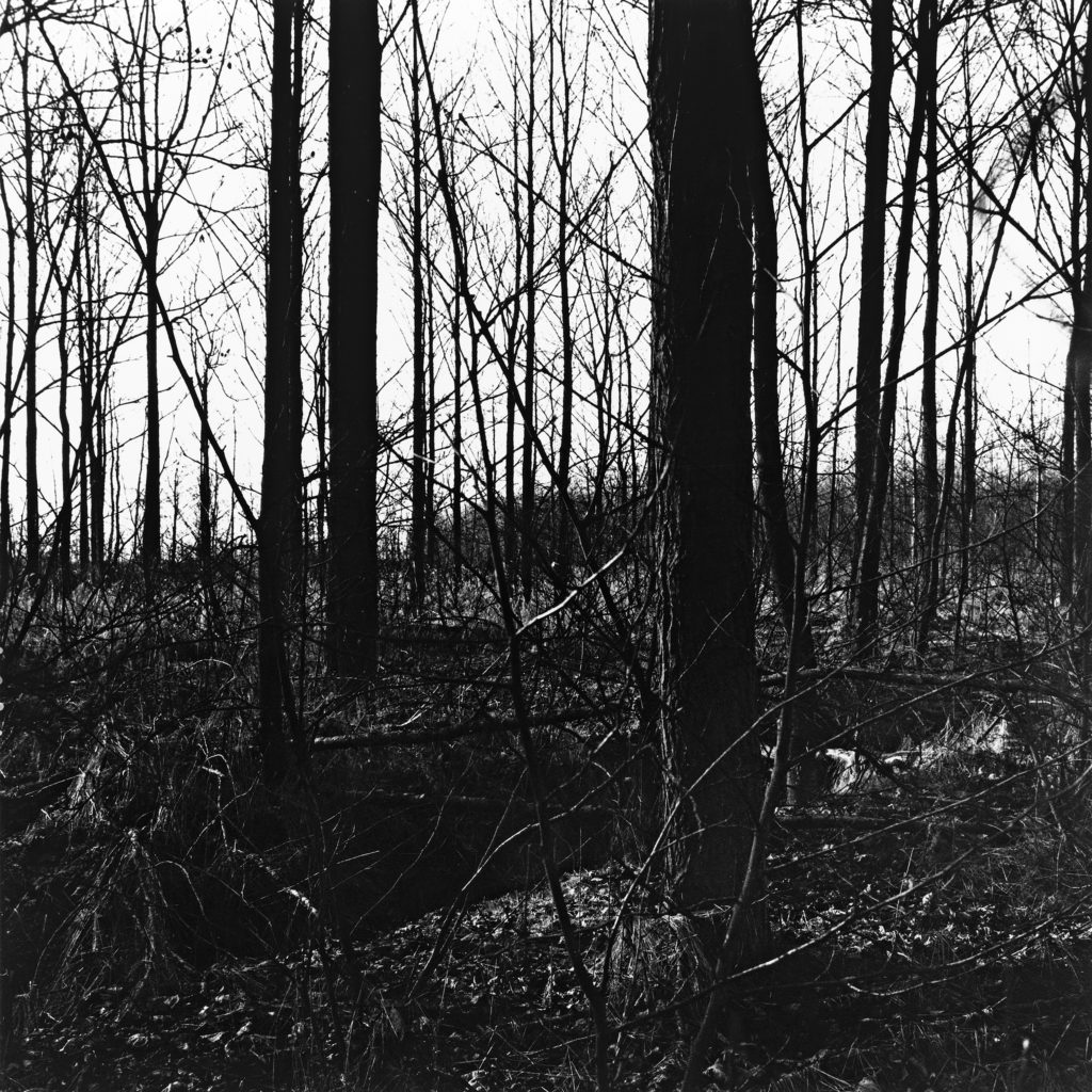 #21C South (Past) – Kampen