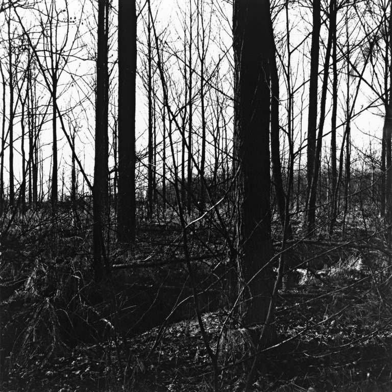 #21C South (Past) – Kampen