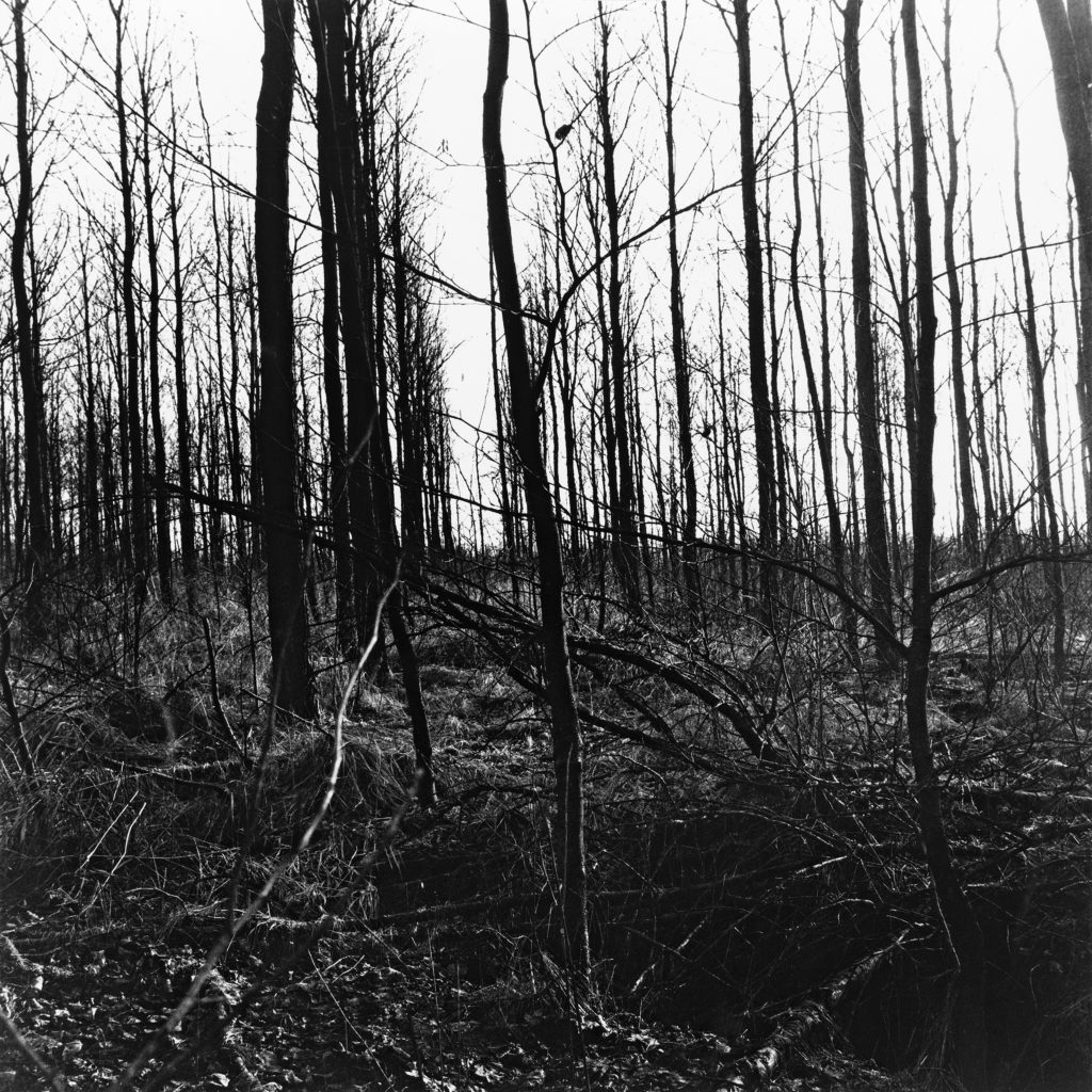 #21C West (Past) – Kampen