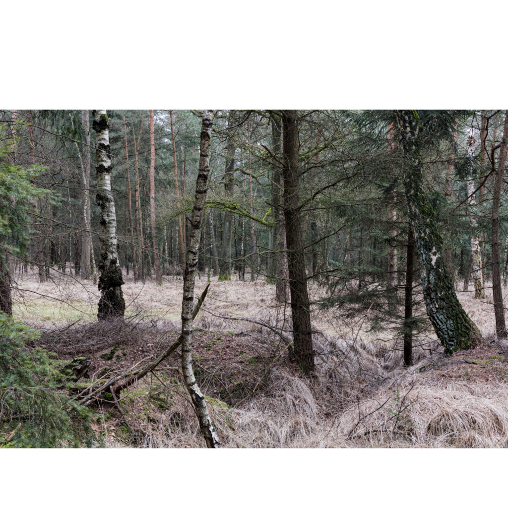 #50H East (Current) – Lage Mierde