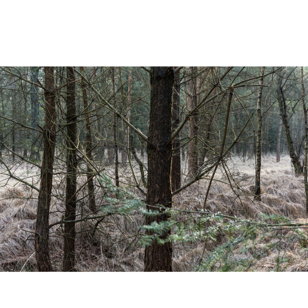 #50H South (Current) – Lage Mierde