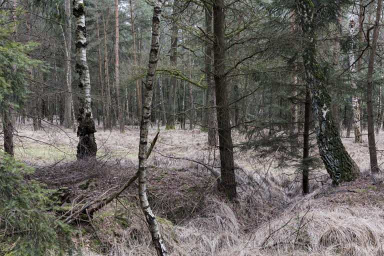 #50H East (Current) – Lage Mierde