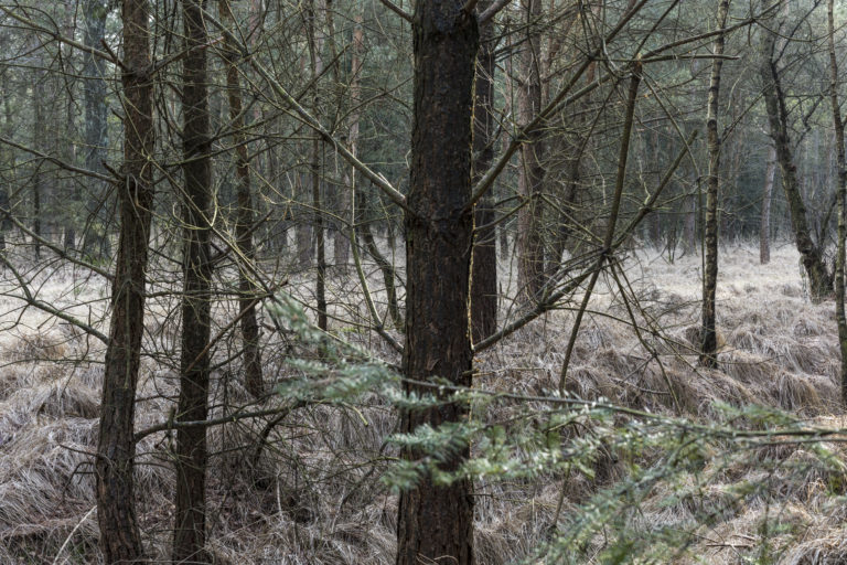 #50H South (Current) – Lage Mierde