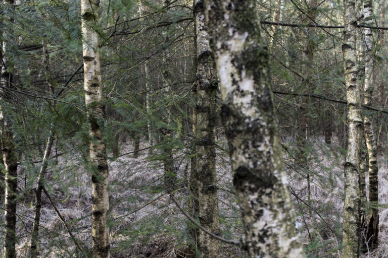 #50H West (Current) – Lage Mierde