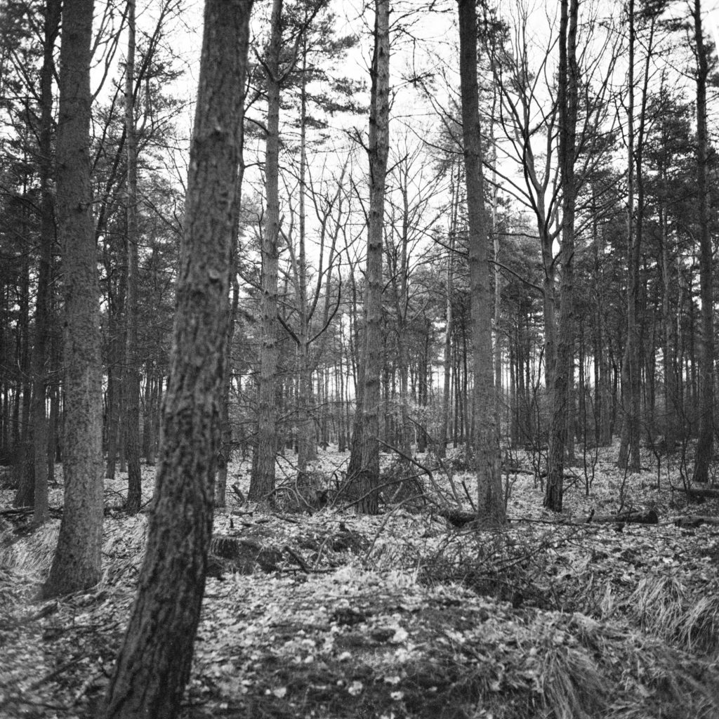 #50H North (Past) – Lage Mierde