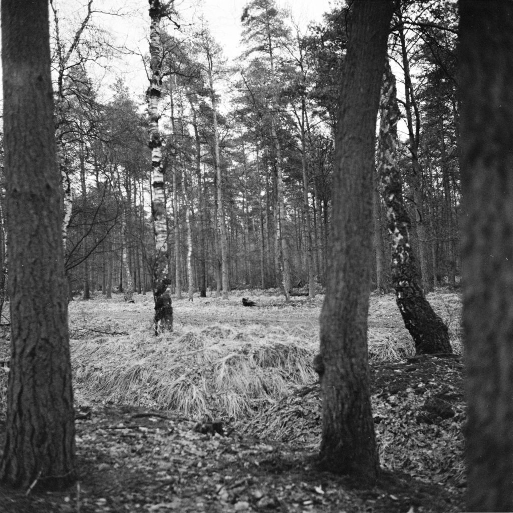 #50H East (Past) – Lage Mierde