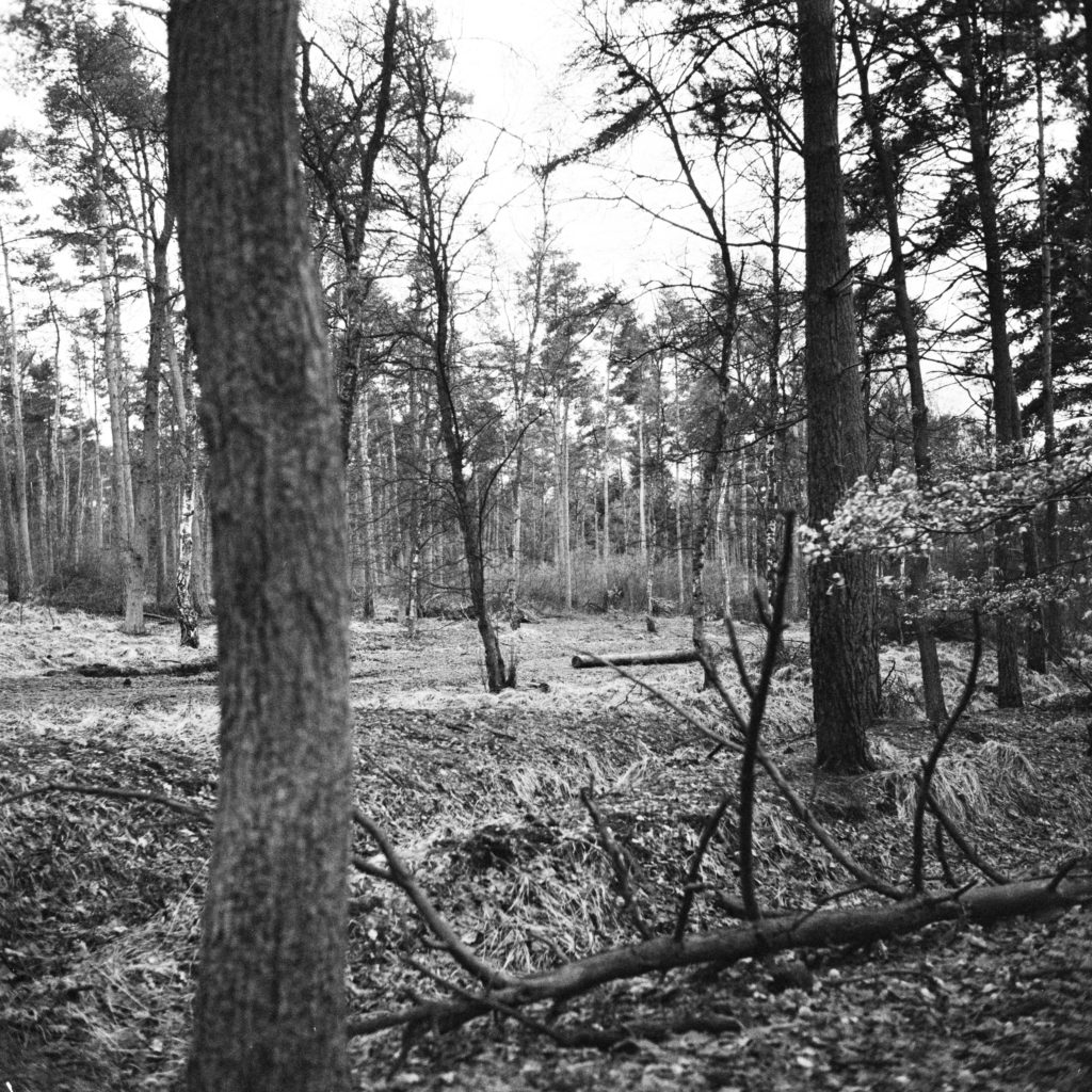 #50H South (Past) – Lage Mierde