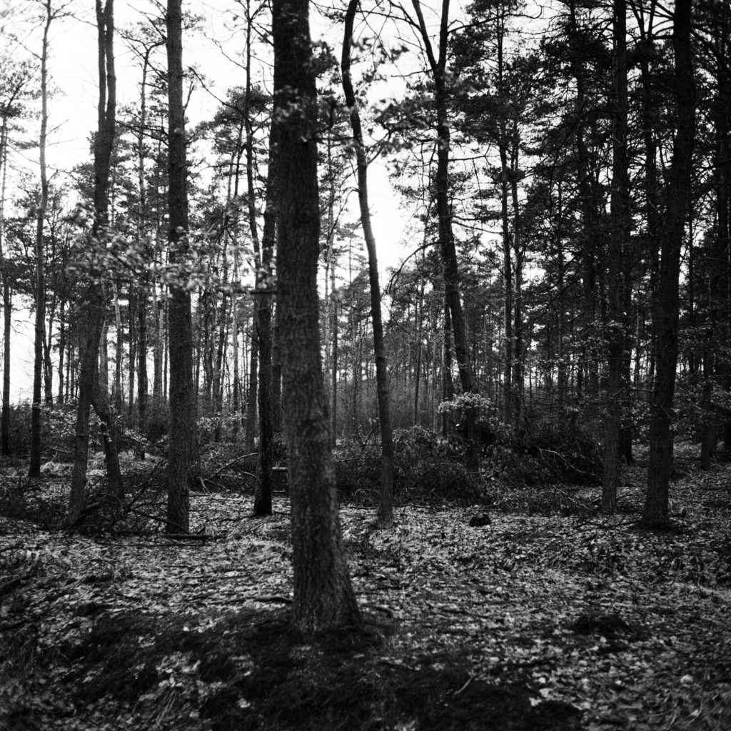 #50H West (Past) – Lage Mierde