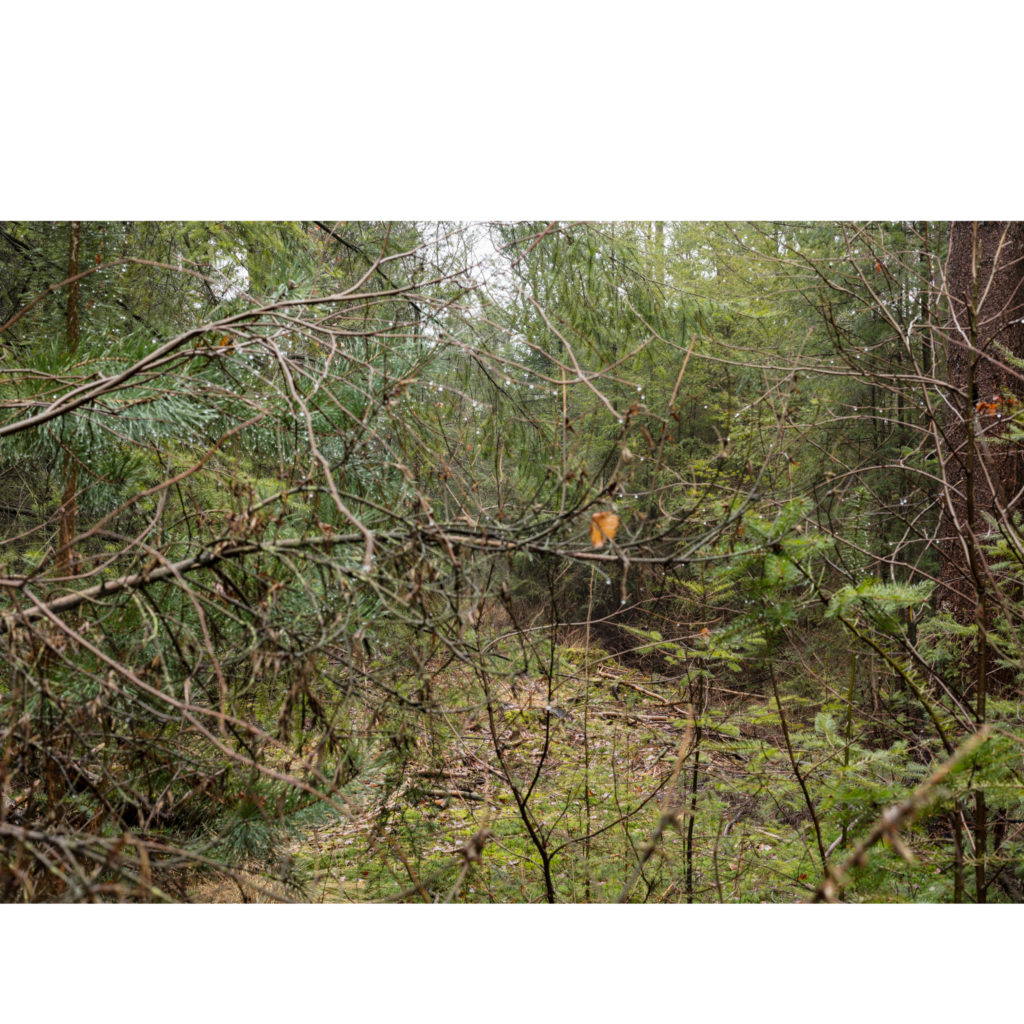 #32D North (Current) – Woudenberg