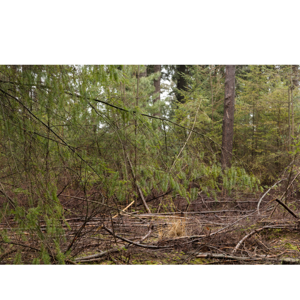 #32D East (Current) – Woudenberg